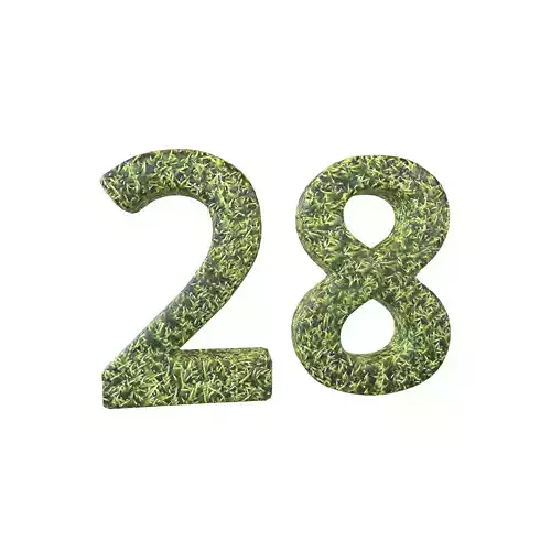 Date Number 28 v2 001