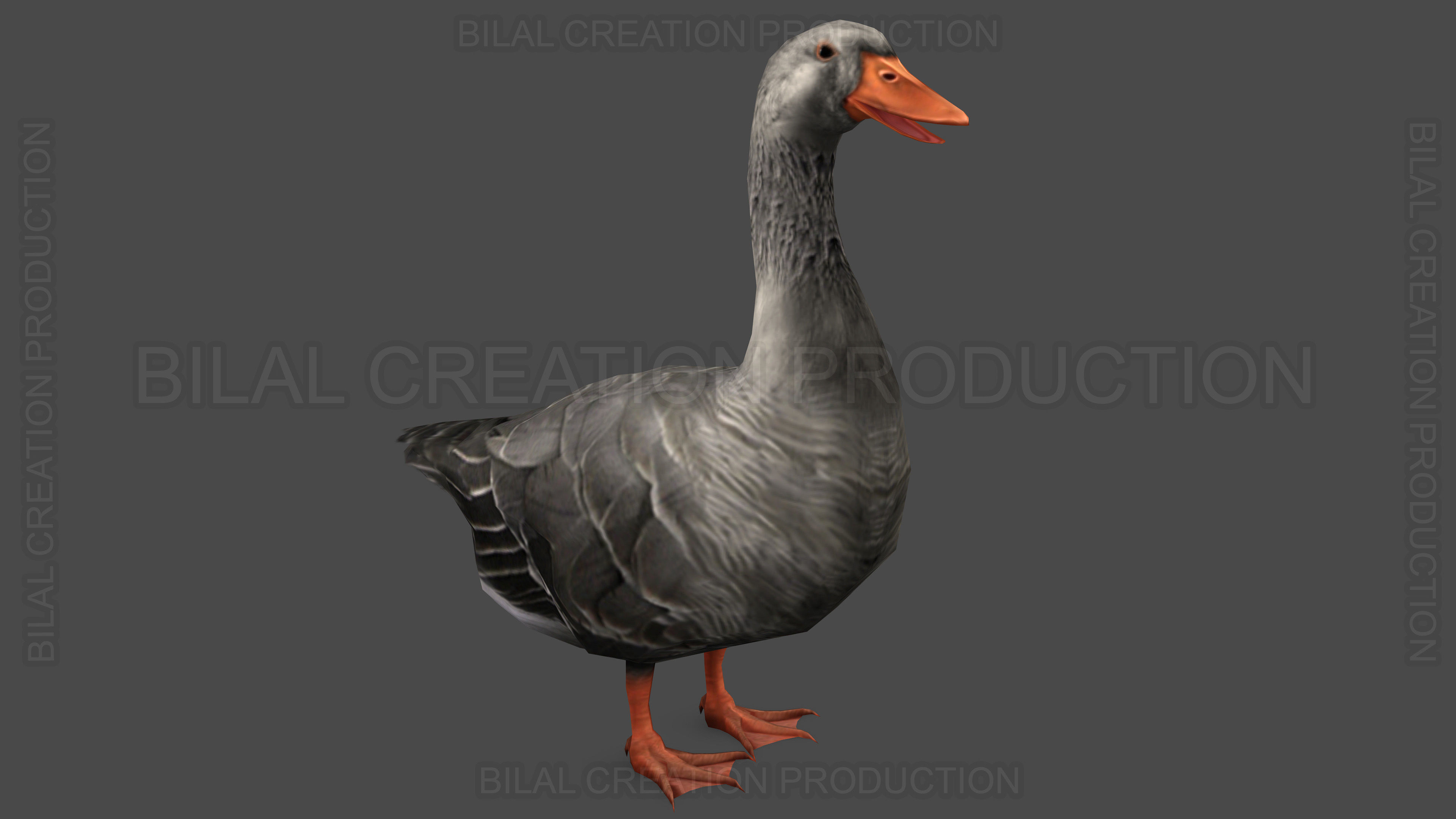 DUCK GRAY ANIMATED Low-poly 3D model_3