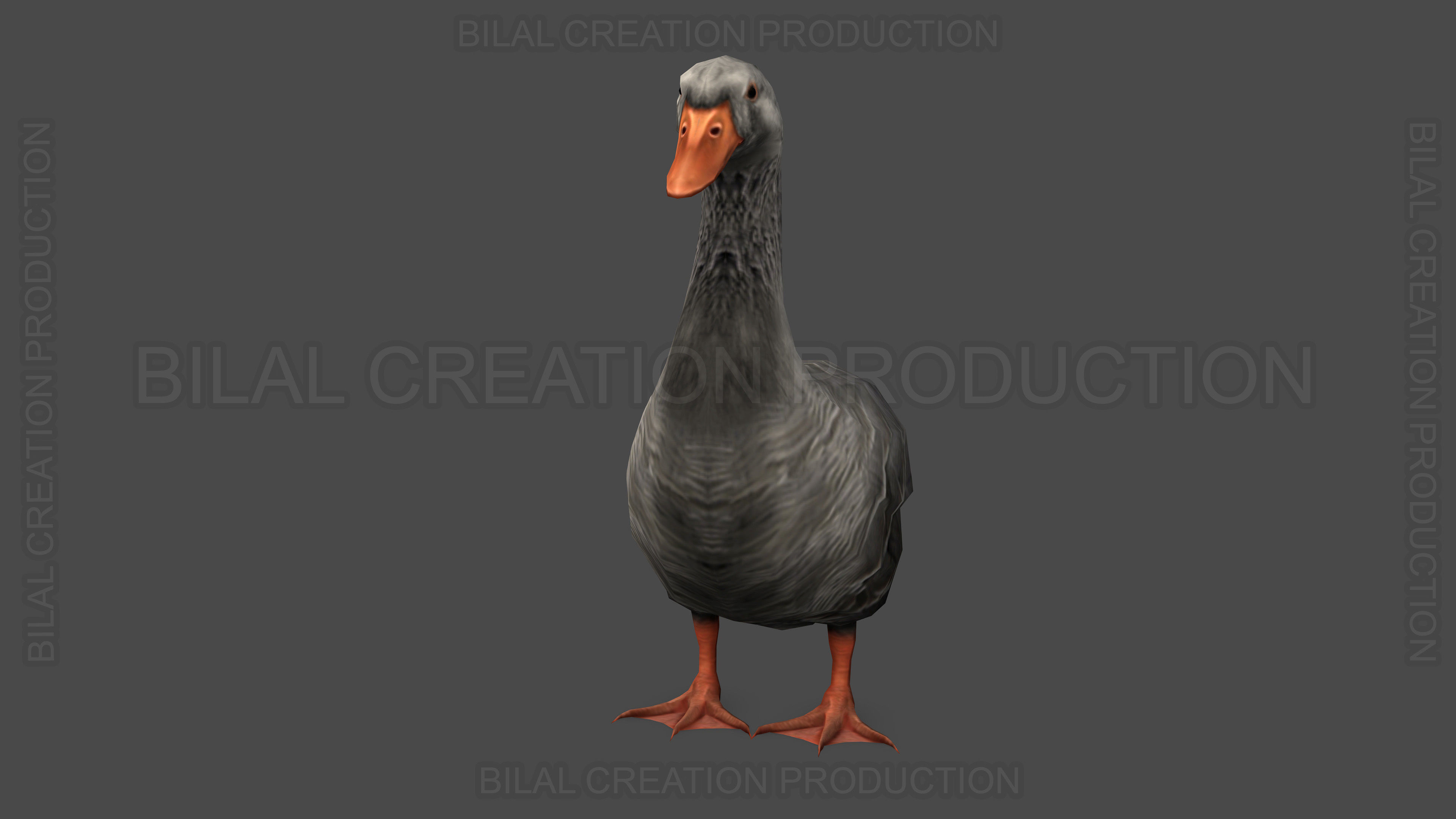 DUCK GRAY ANIMATED Low-poly 3D model_2