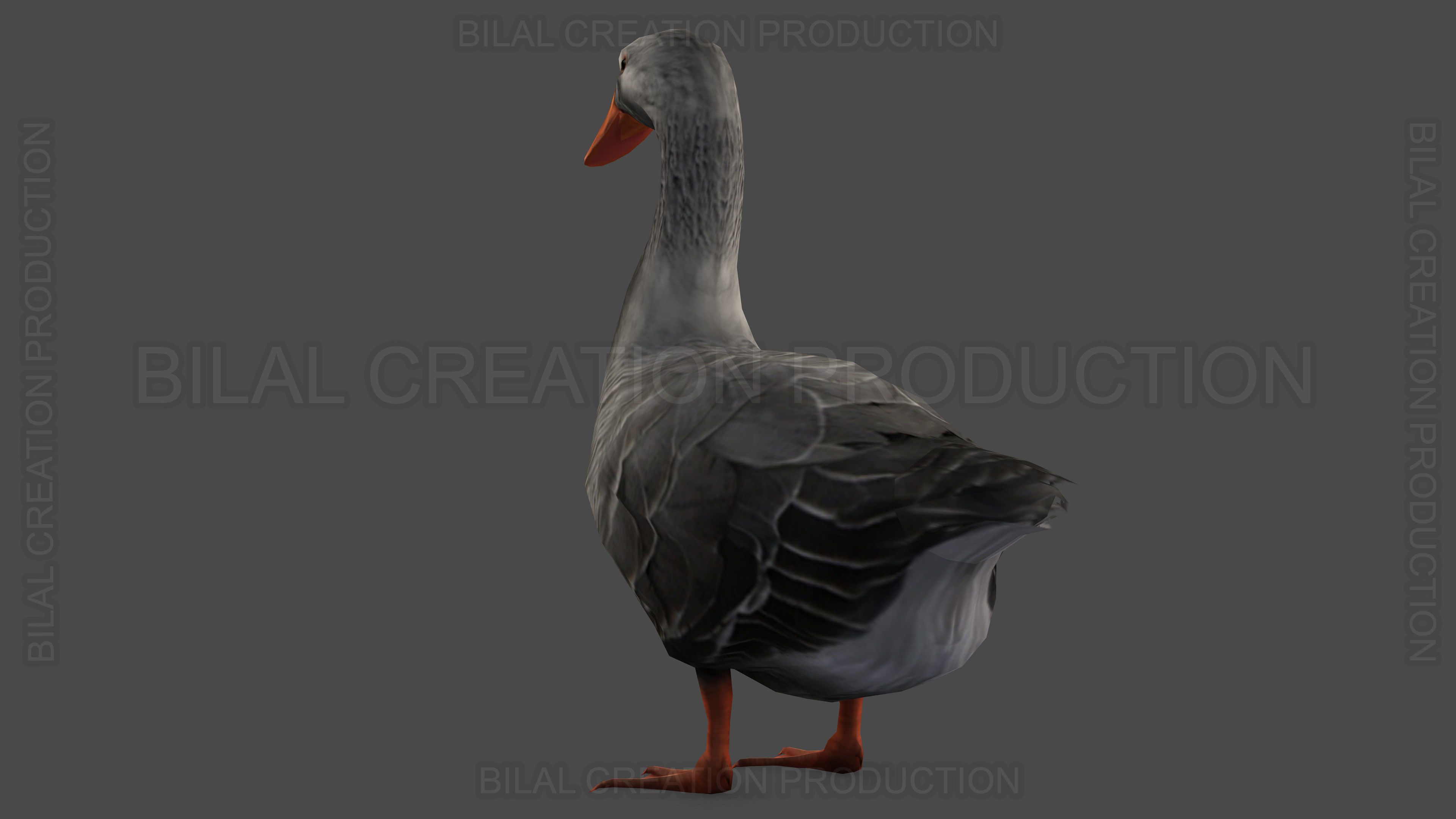 DUCK GRAY ANIMATED Low-poly 3D model_6