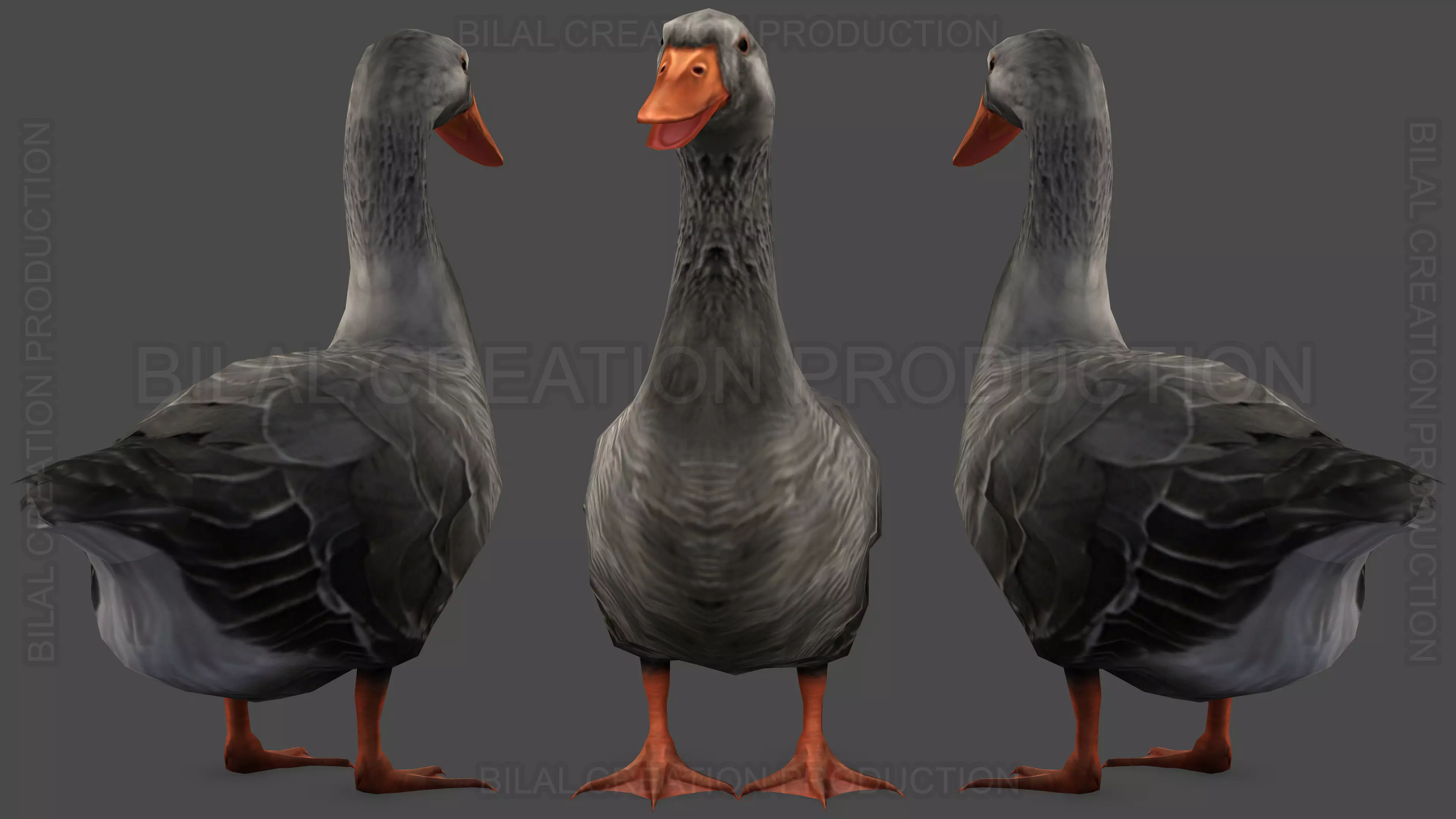DUCK GRAY ANIMATED Low-poly 3D model_0
