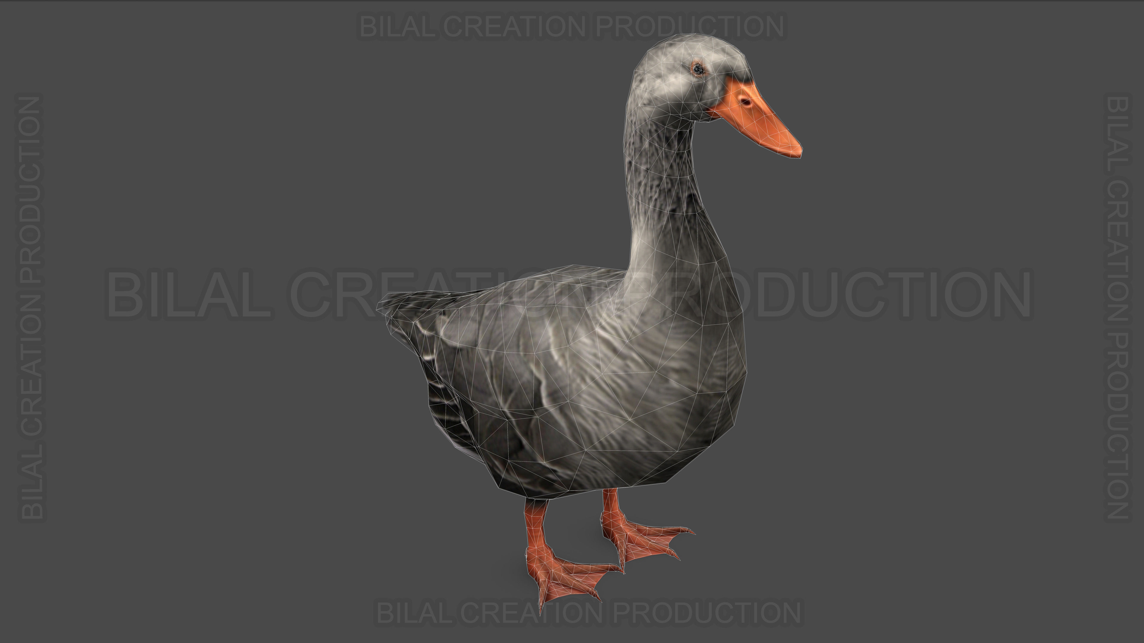 DUCK GRAY ANIMATED Low-poly 3D model_14