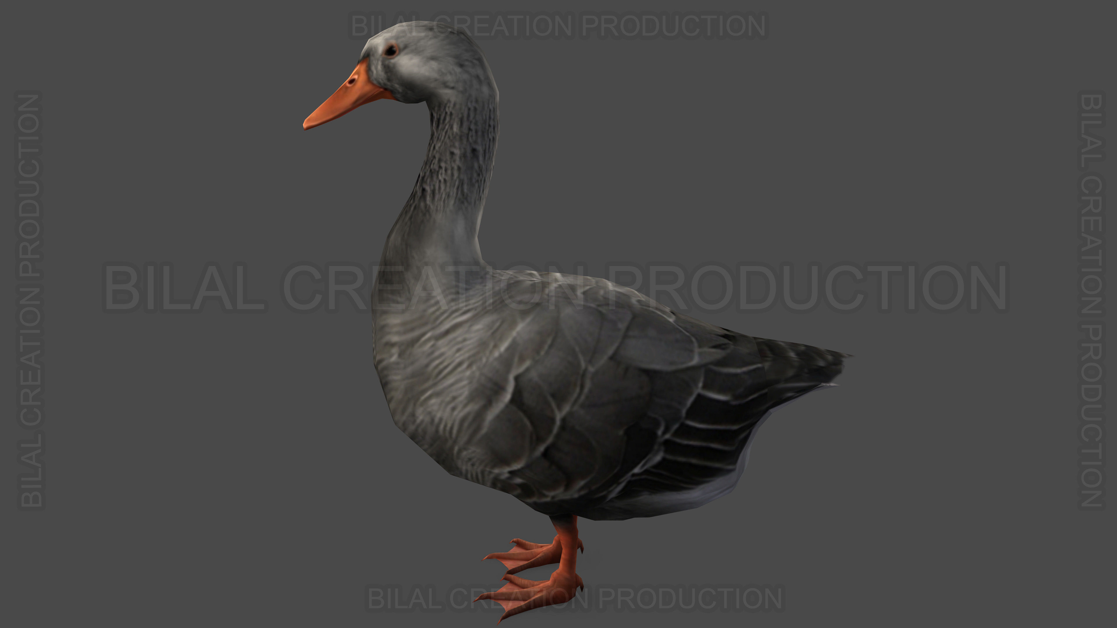 DUCK GRAY ANIMATED Low-poly 3D model_11