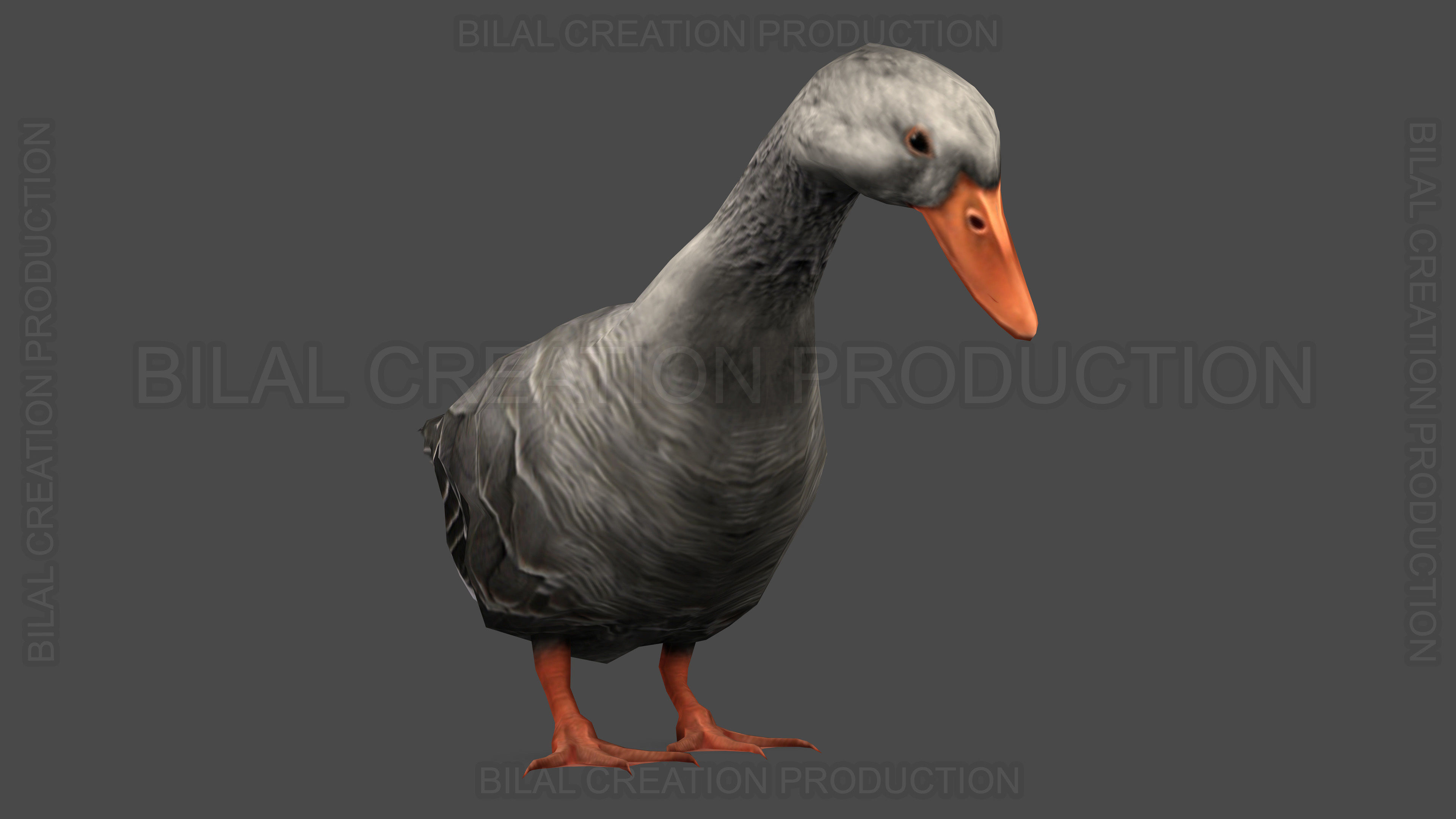 DUCK GRAY ANIMATED Low-poly 3D model_9