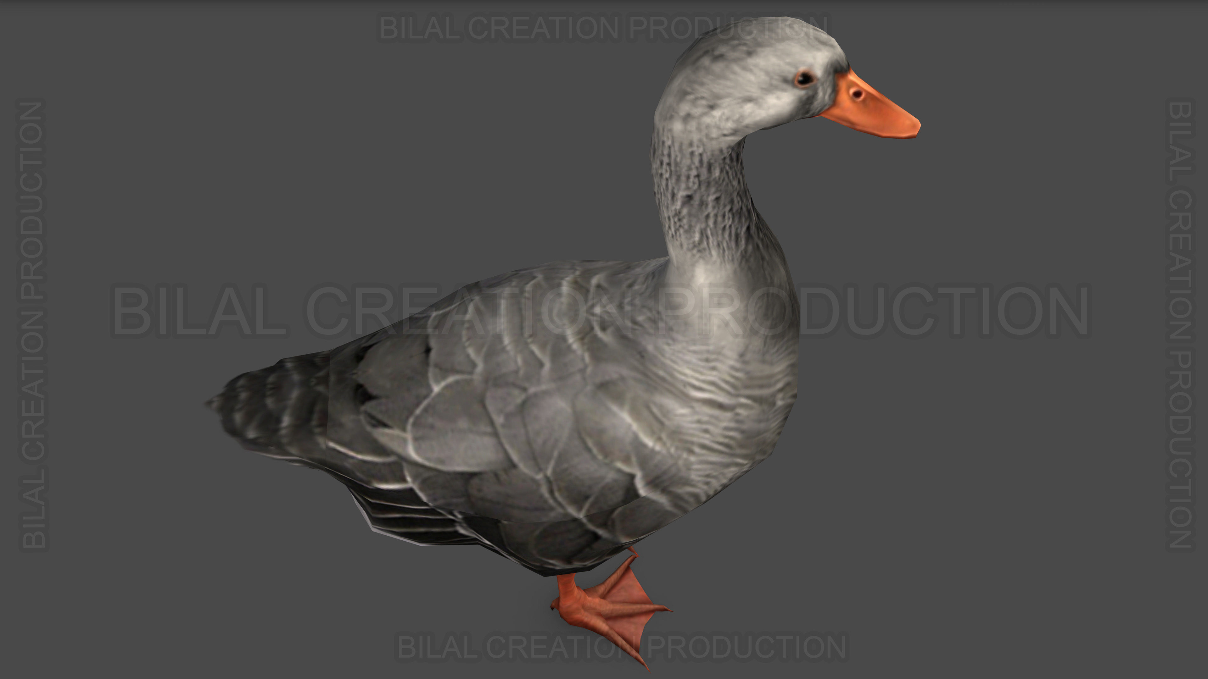 DUCK GRAY ANIMATED Low-poly 3D model_7