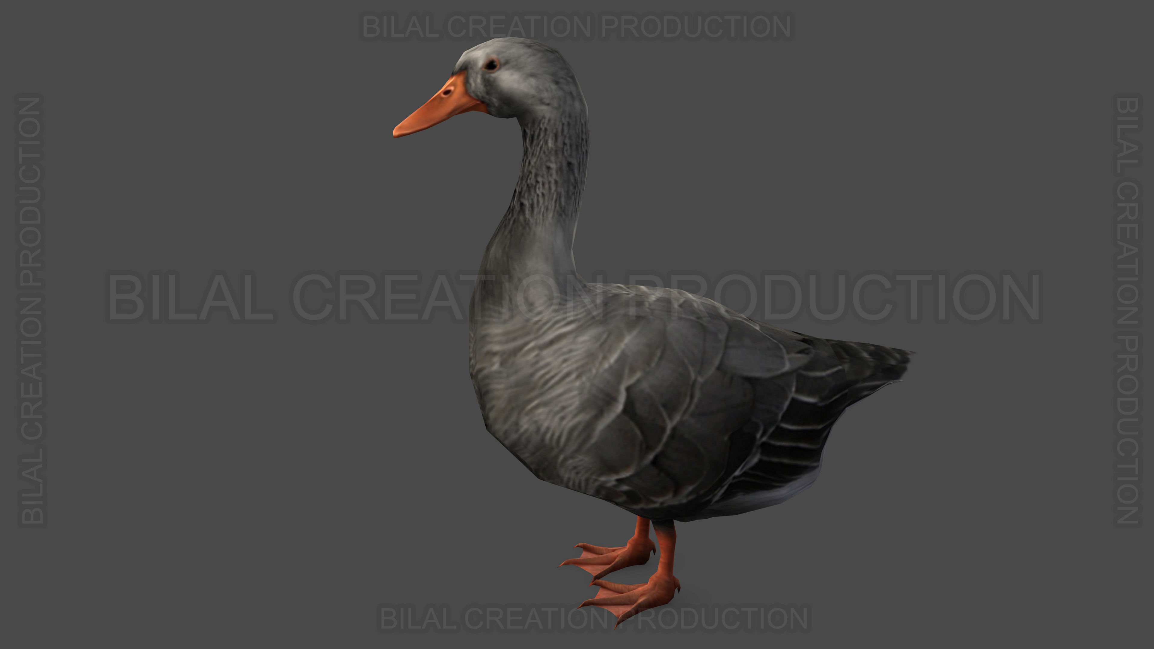 DUCK GRAY ANIMATED Low-poly 3D model_5