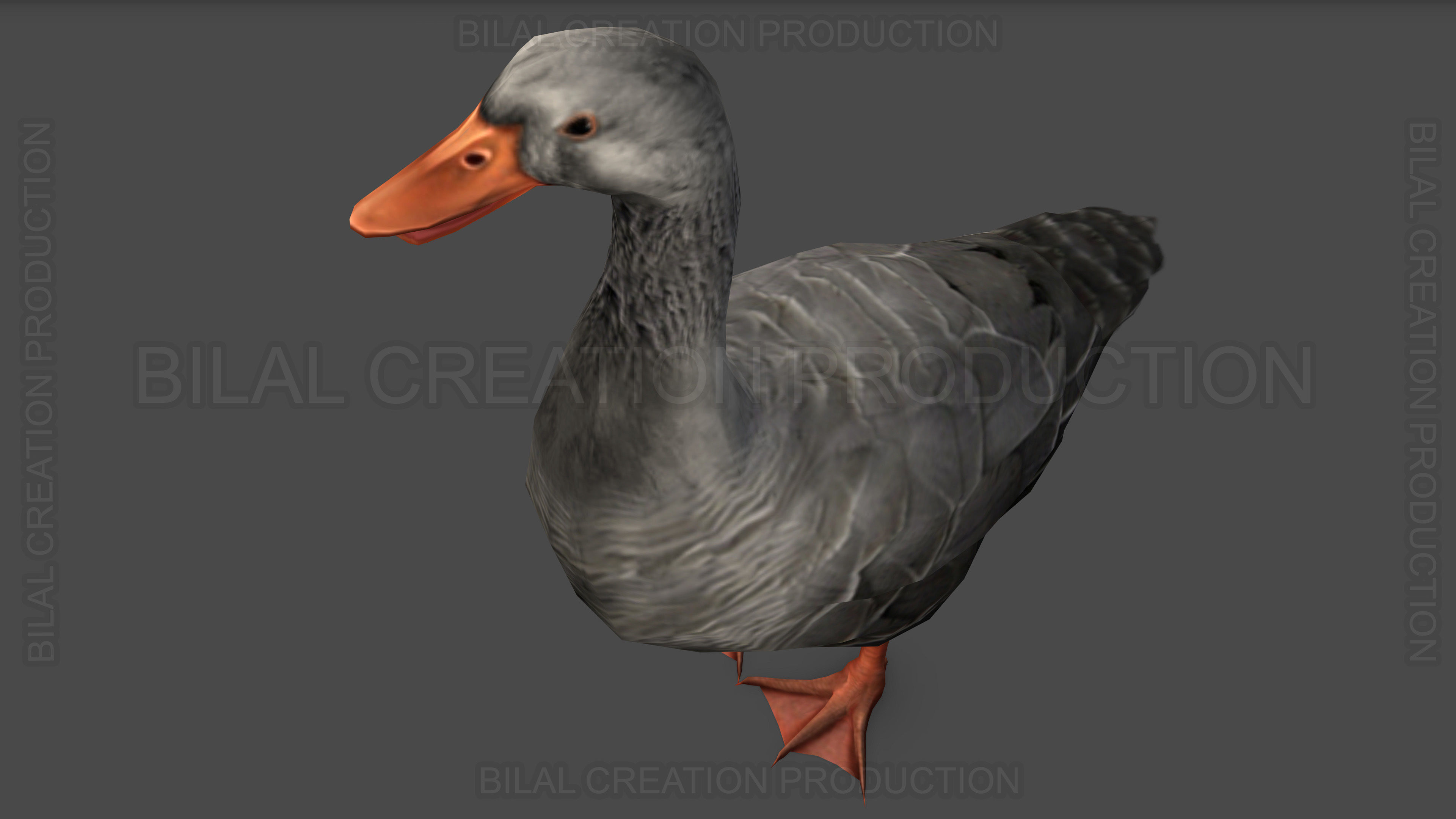 DUCK GRAY ANIMATED Low-poly 3D model_4