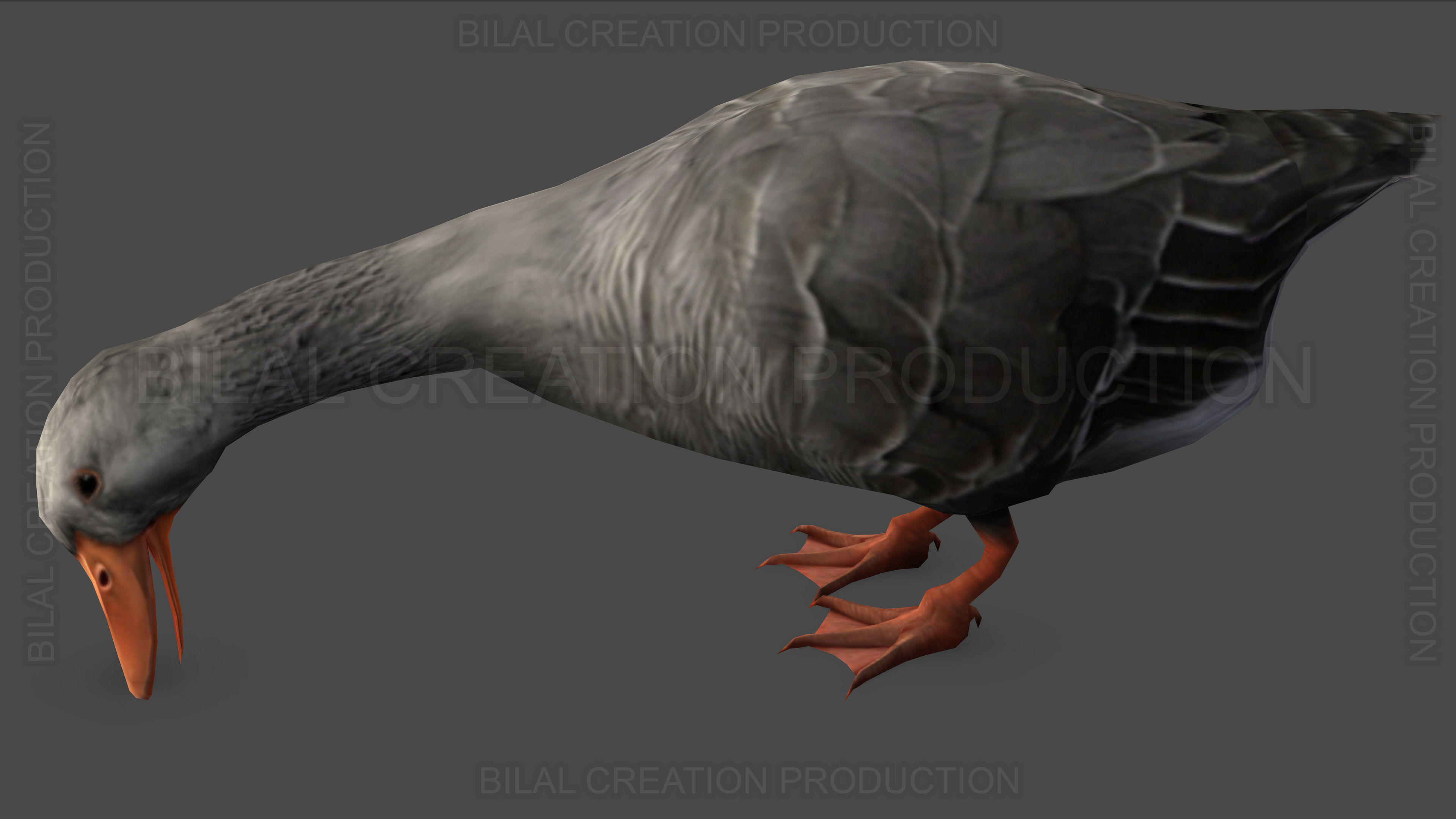 DUCK GRAY ANIMATED Low-poly 3D model_8
