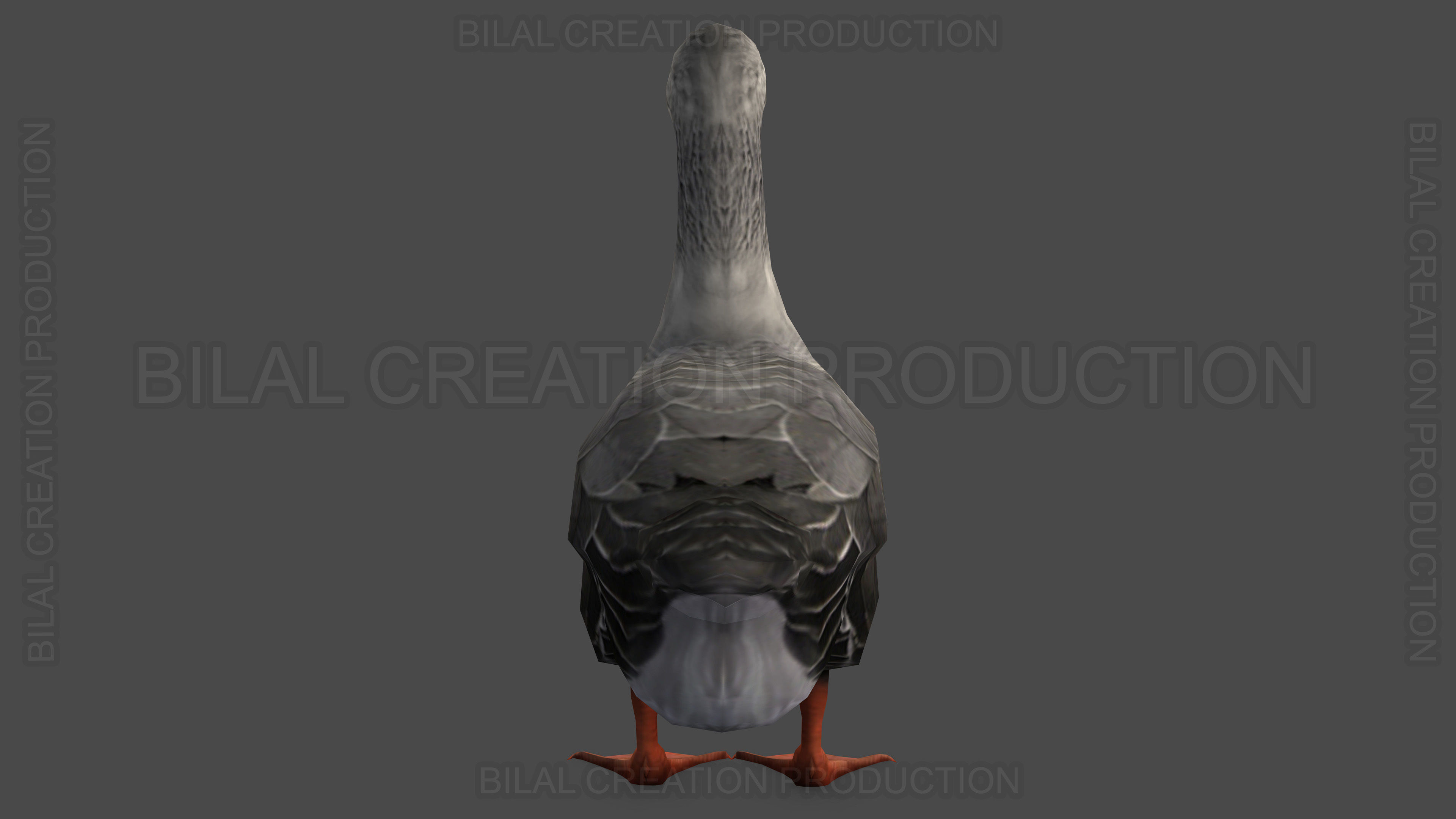 DUCK GRAY ANIMATED Low-poly 3D model_10