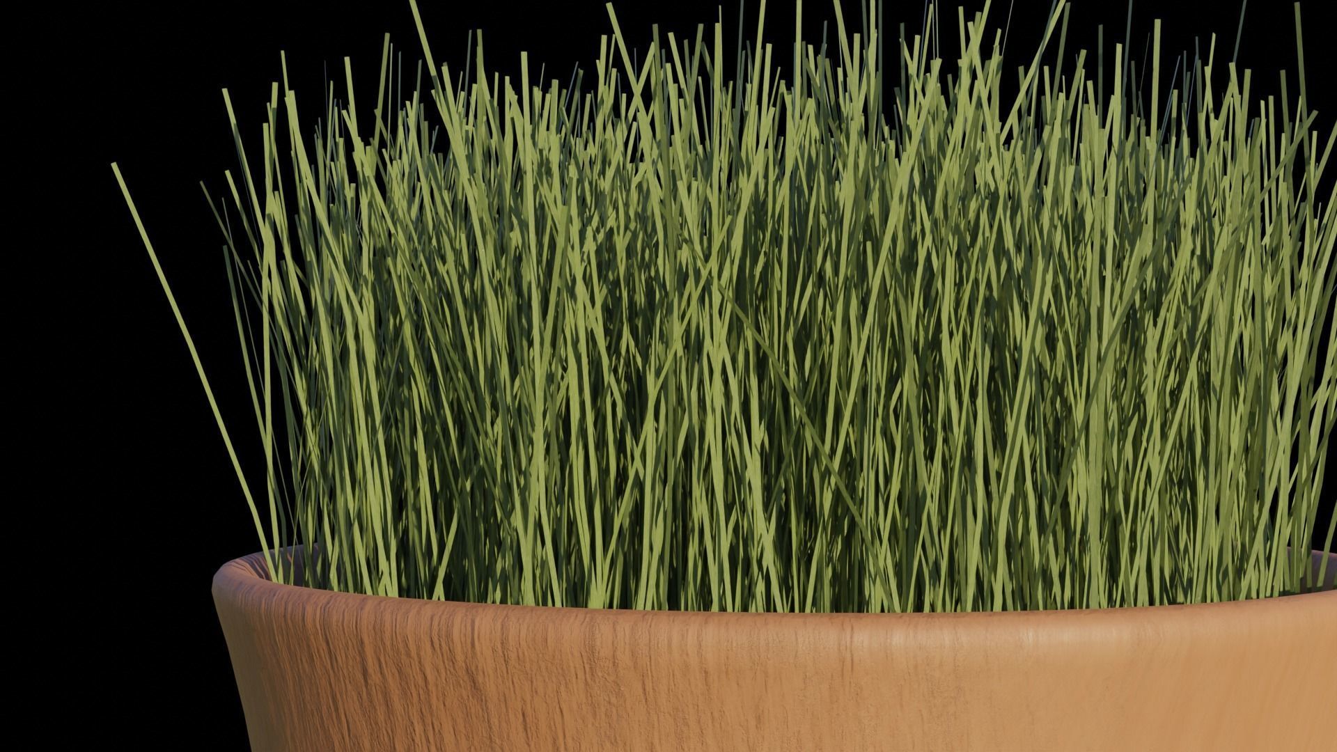 Grass in pot Low-poly 3D model_5