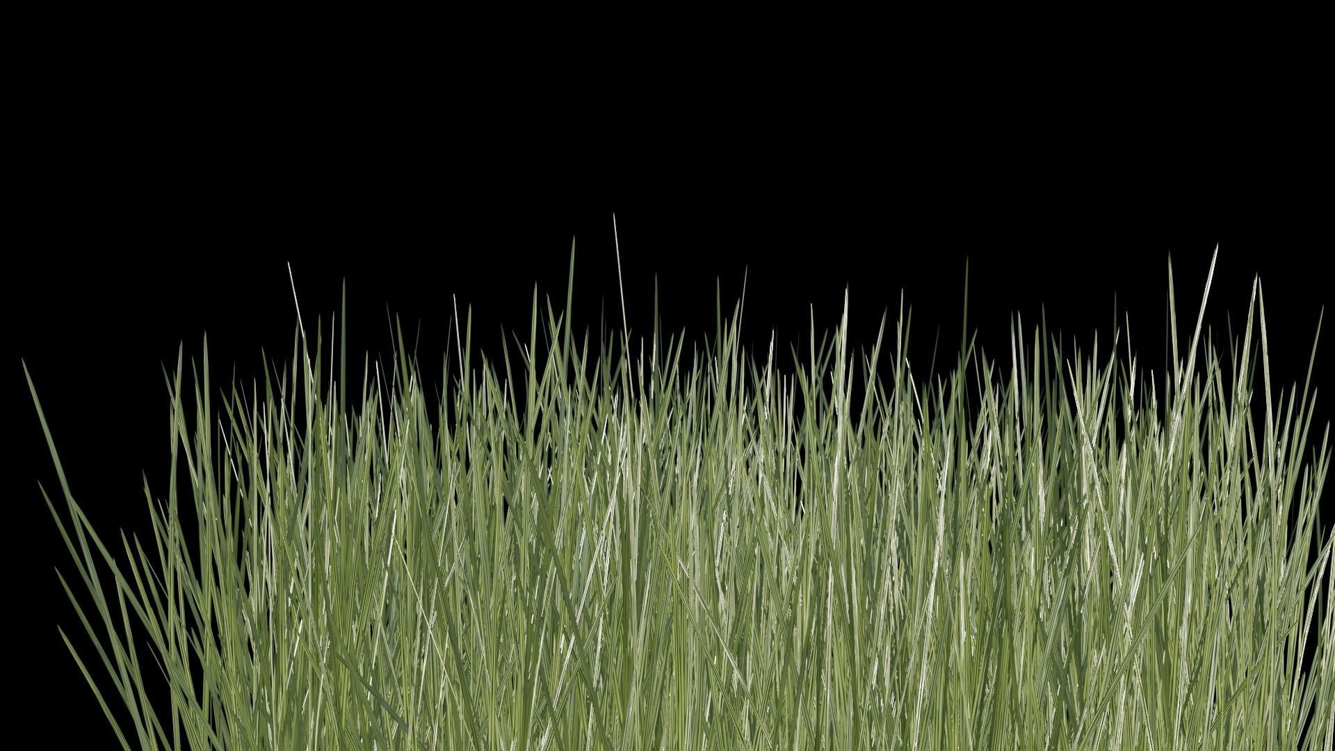Grass in pot Low-poly 3D model_7
