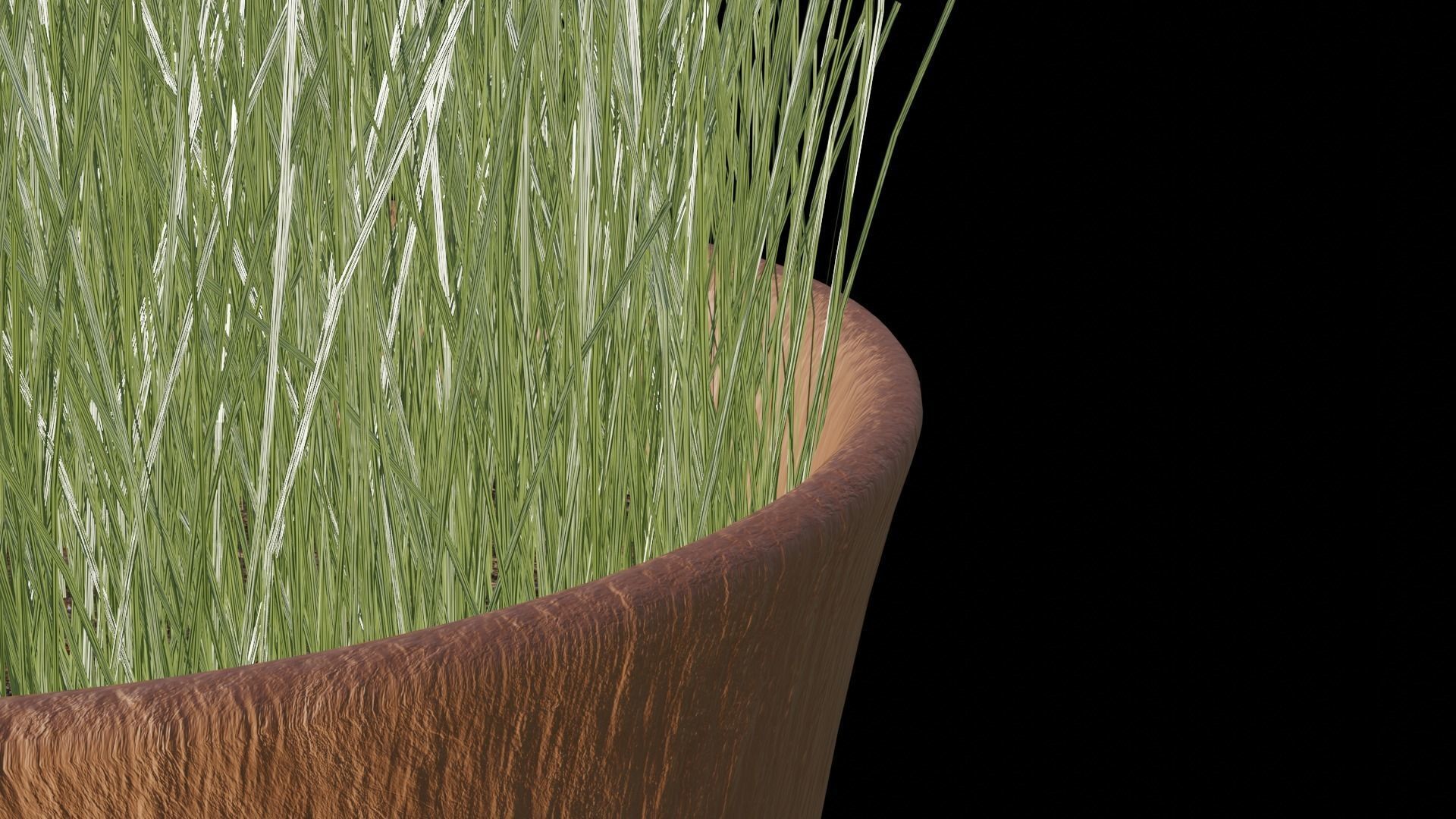 Grass in pot Low-poly 3D model_8