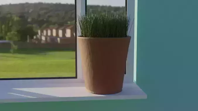 Grass in pot