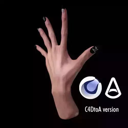 Female slim hand 3D model