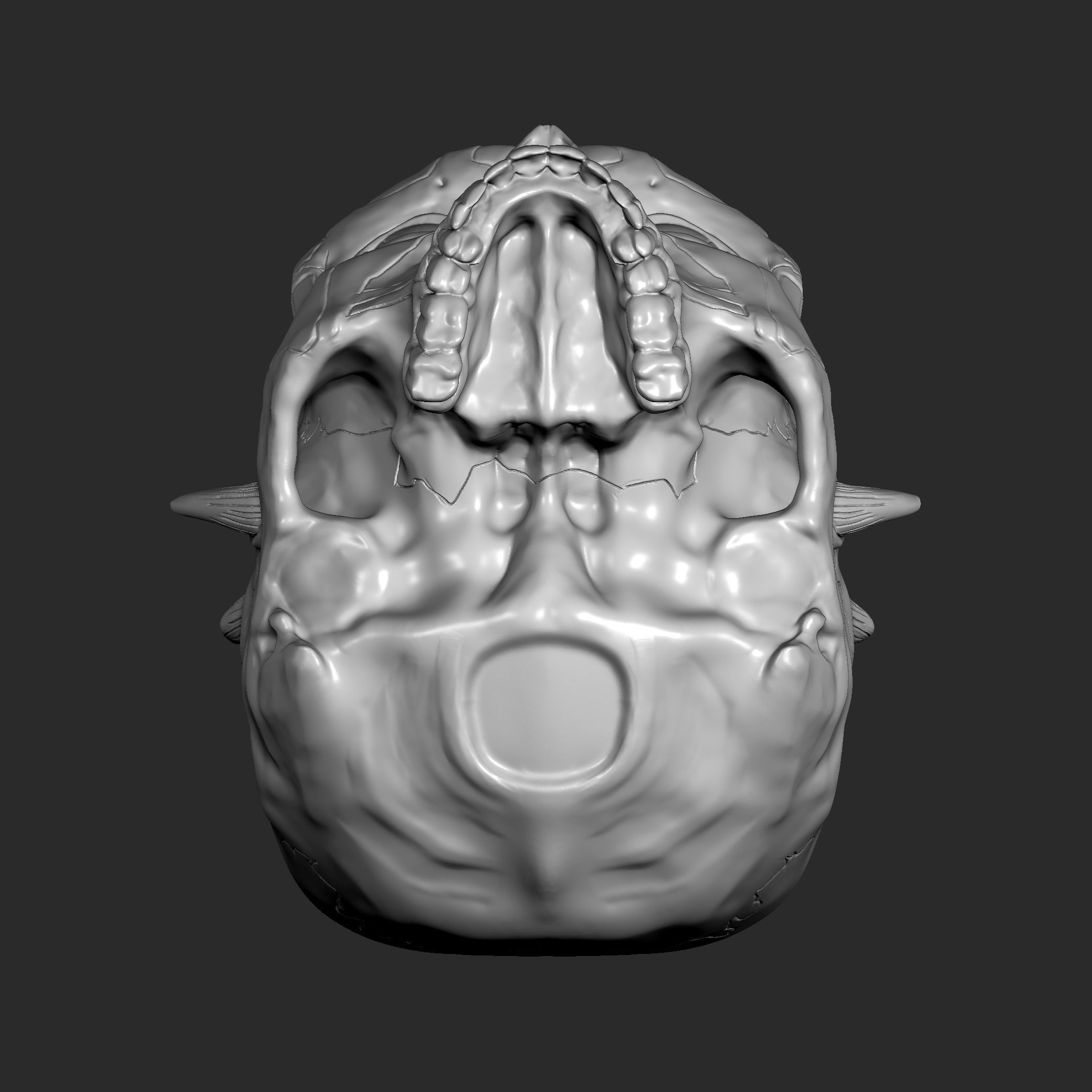 DARTH MAUL SKULL 3D print model_10