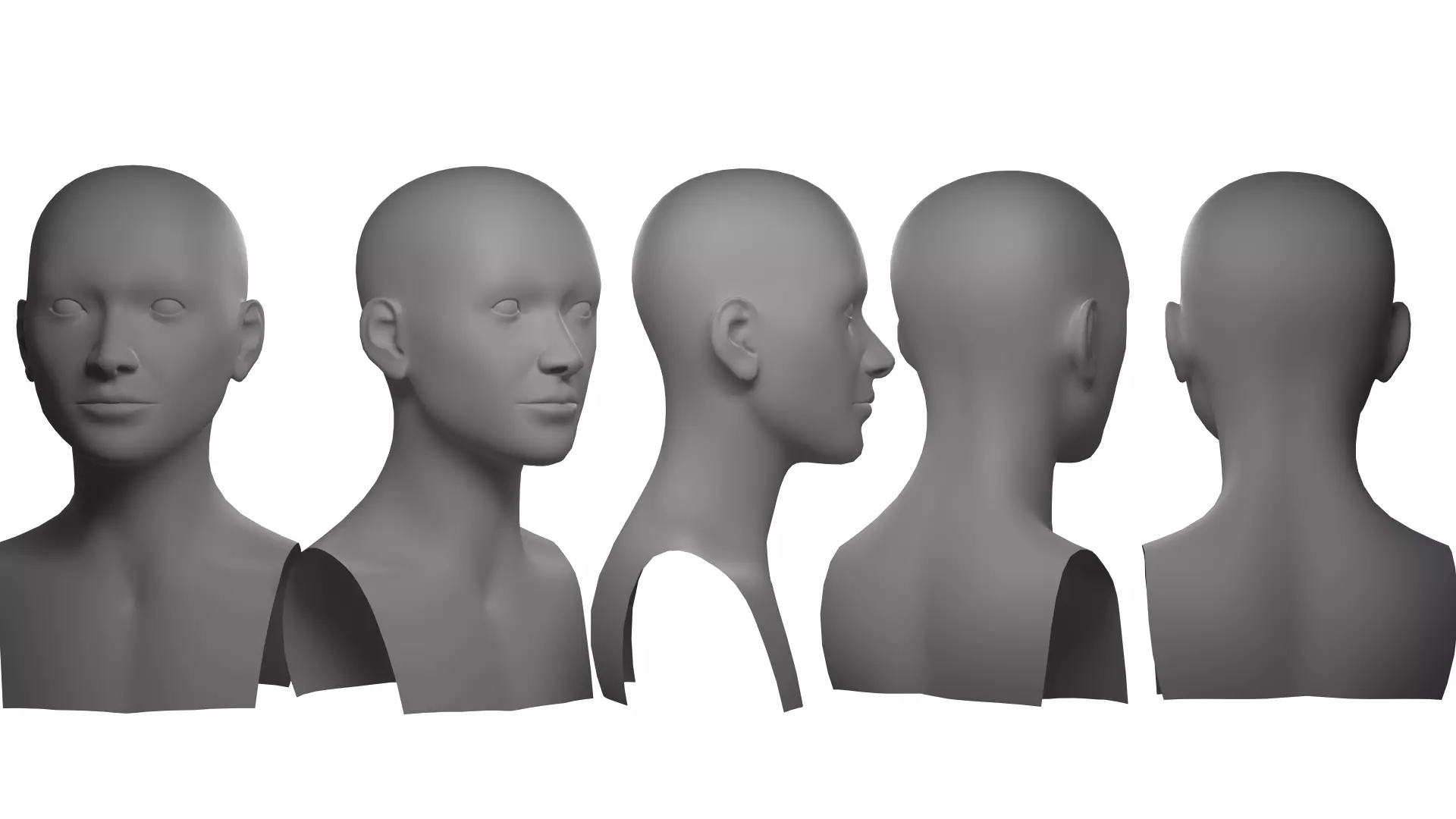 Basemesh Head Free 3D model