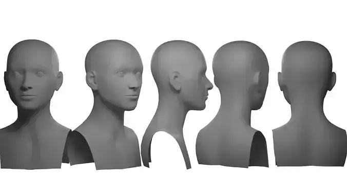 Basemesh Head
