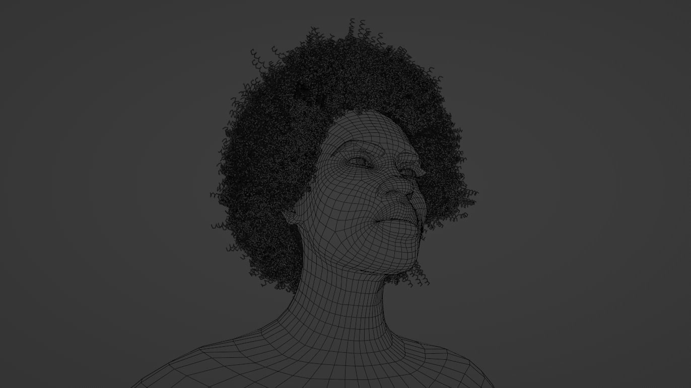 Afro Black Hair 3D model_13