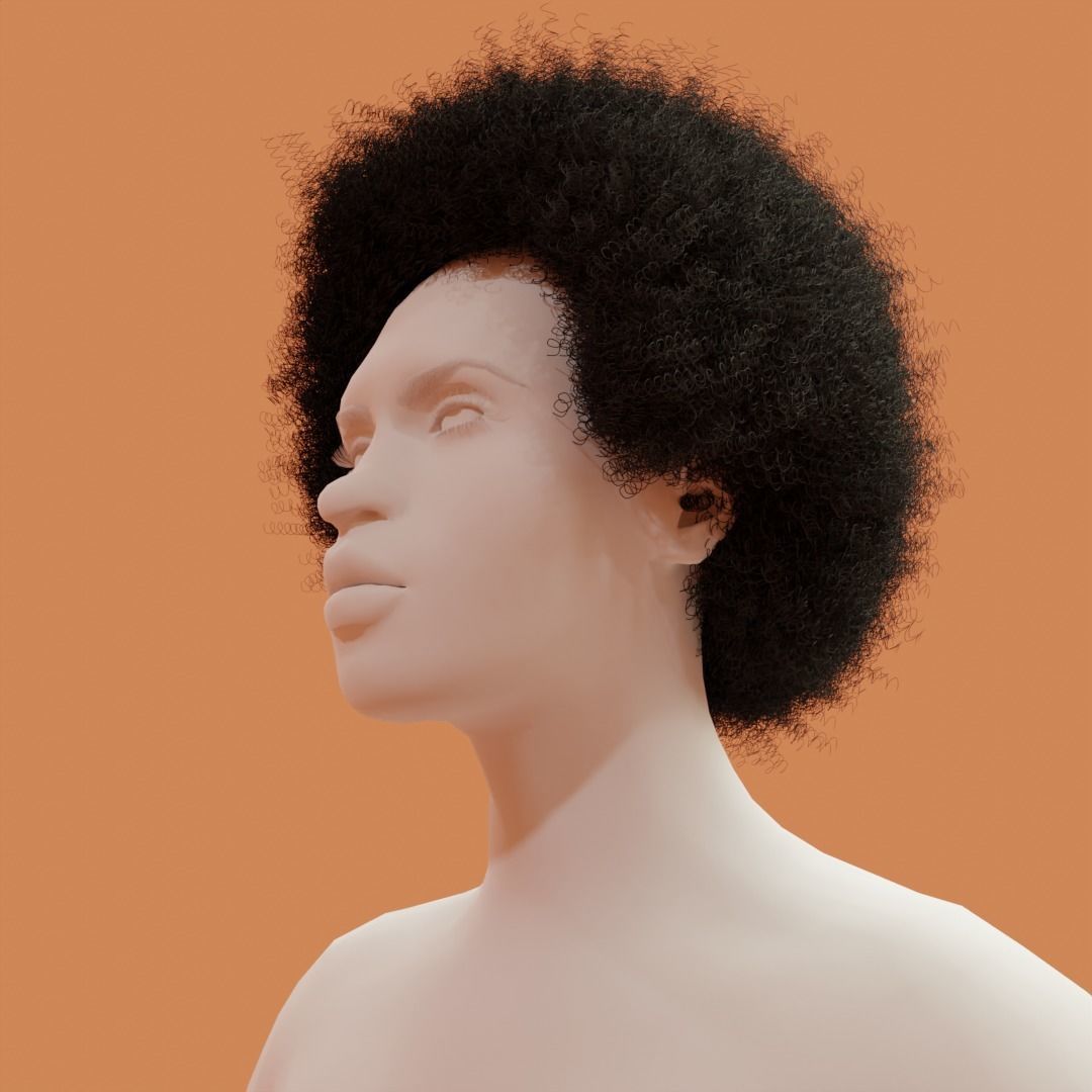 Afro Black Hair 3D model_7