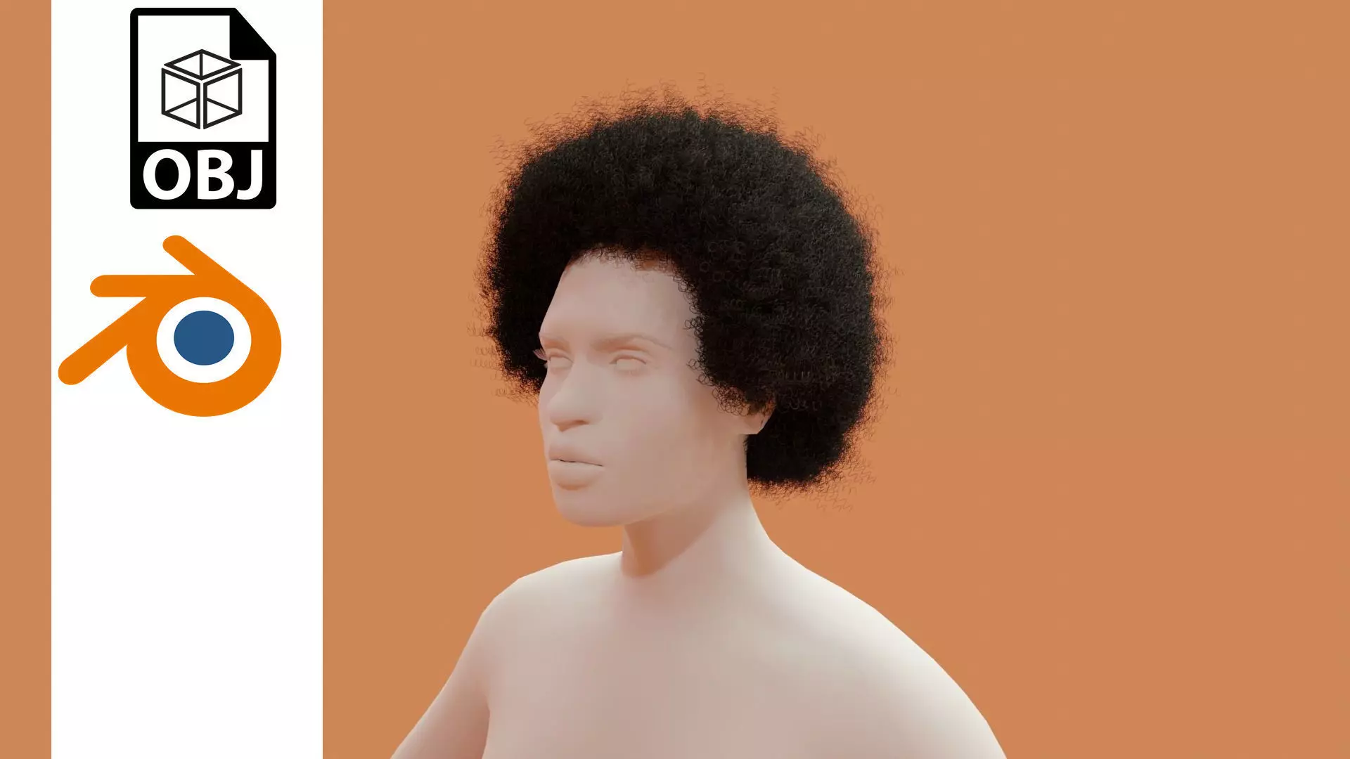 Afro Black Hair 3D model_0