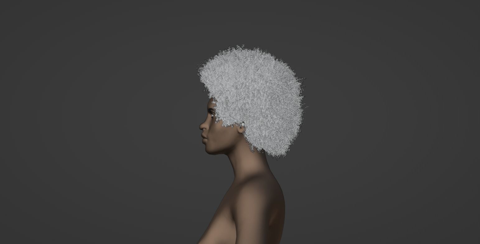 Afro Black Hair 3D model_15