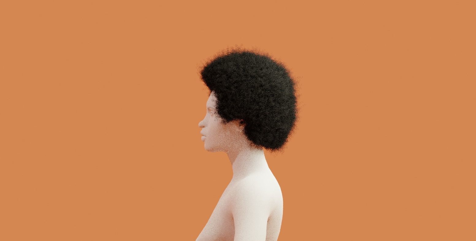 Afro Black Hair 3D model_14
