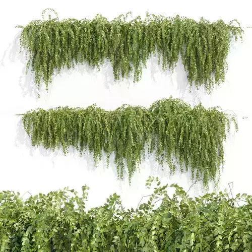 Hanging wall plants vol 118 3D model