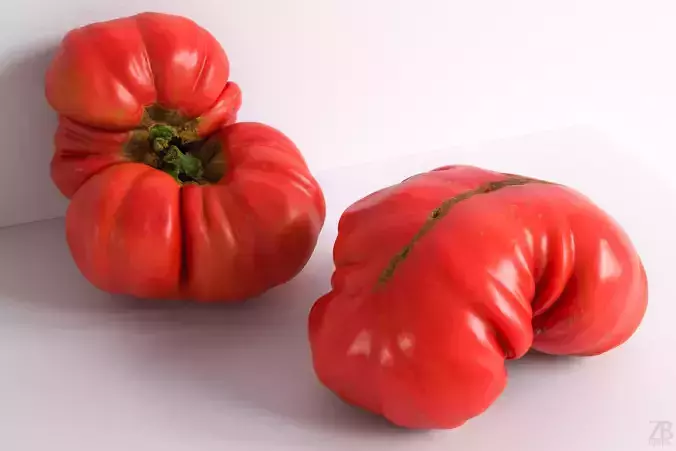 Tomato 3D model