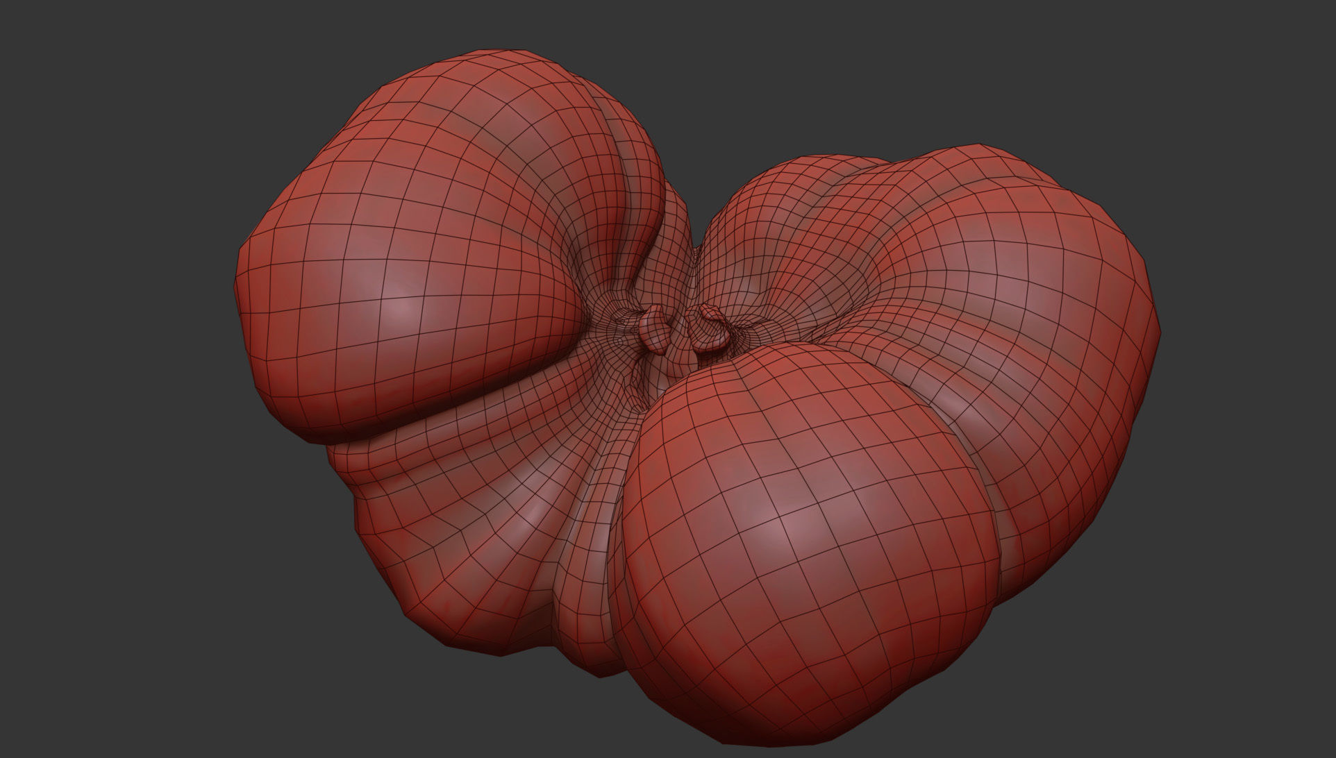 Tomato 3D model_6