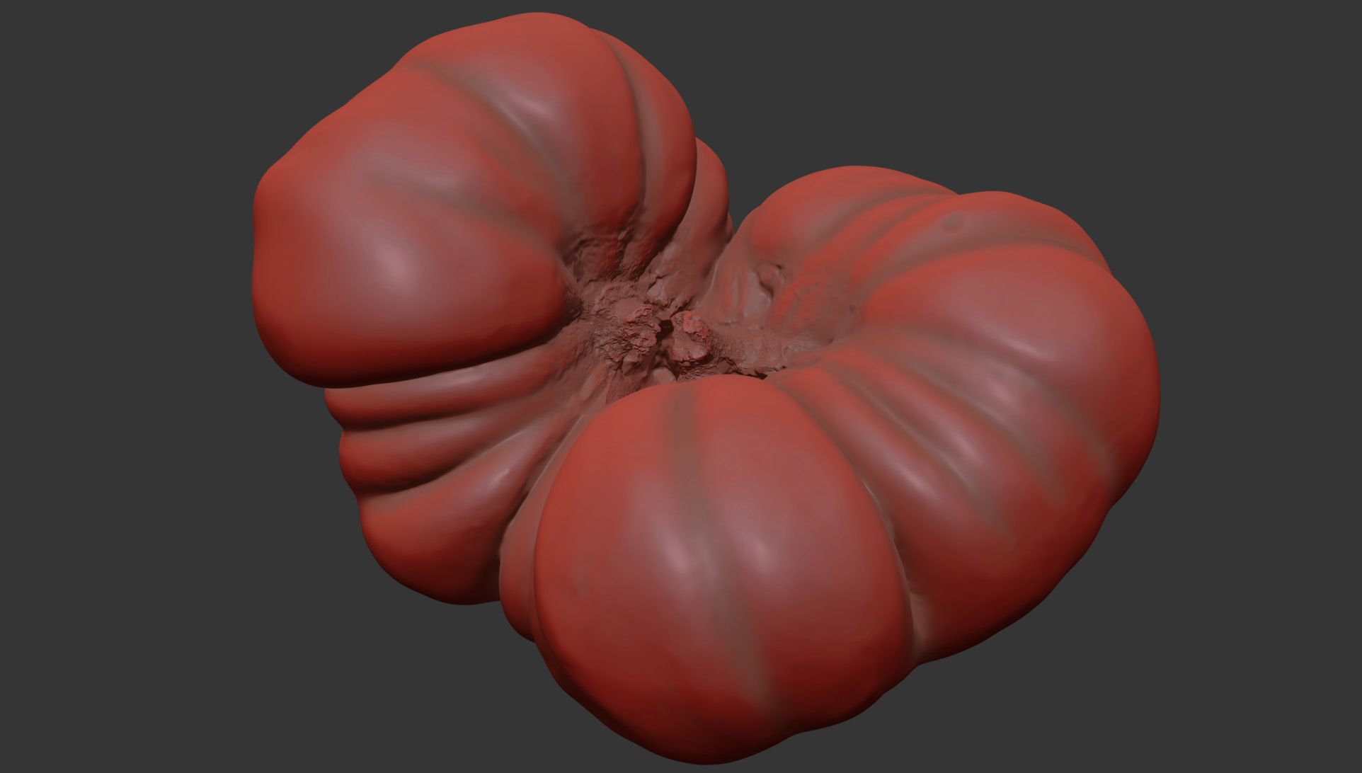 Tomato 3D model_7