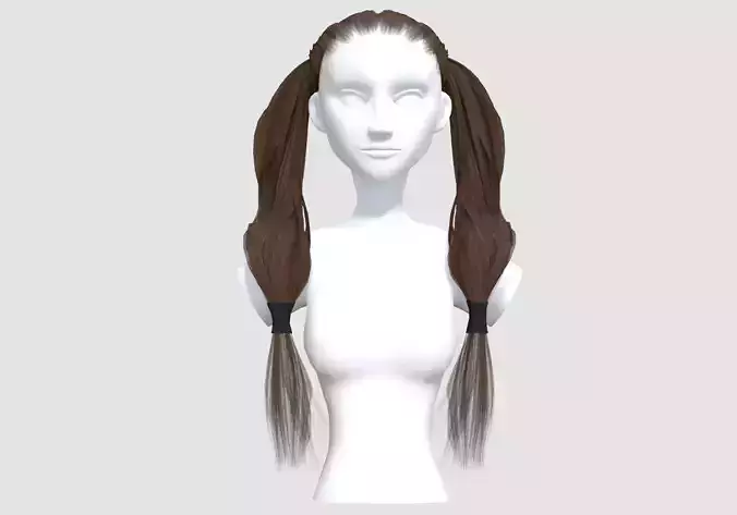 Two Ponytails Hairstyle 