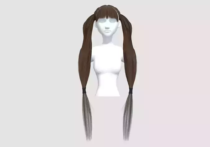 Two Pigtails Hairstyle 