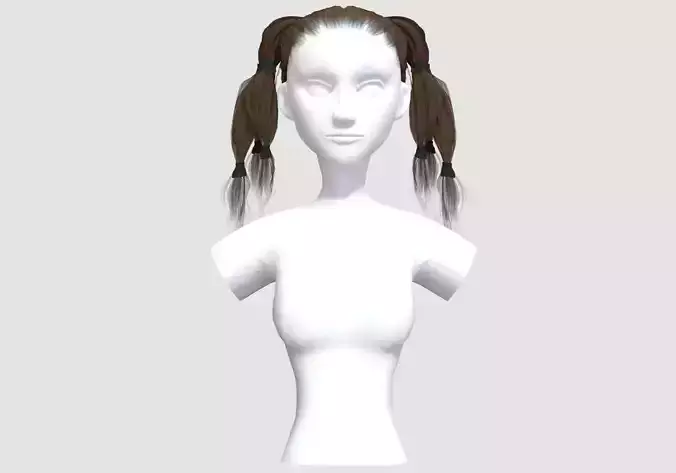 Simple Pigtails Hairstyle 