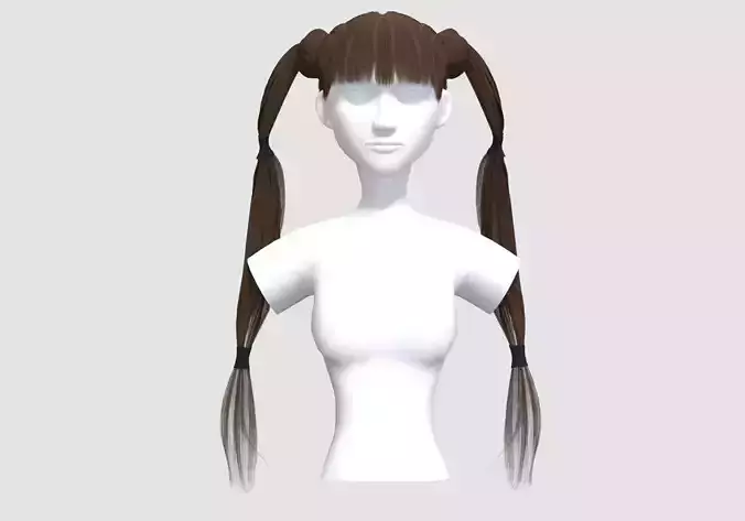 Pretty Pigtails Hairstyle 