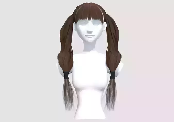 Ponytails Pigtail Hairstyle 