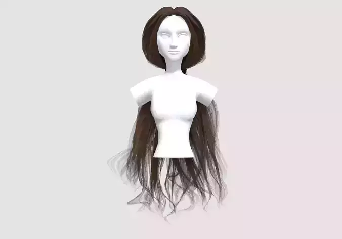 Ponytail Wavy Hairstyle 