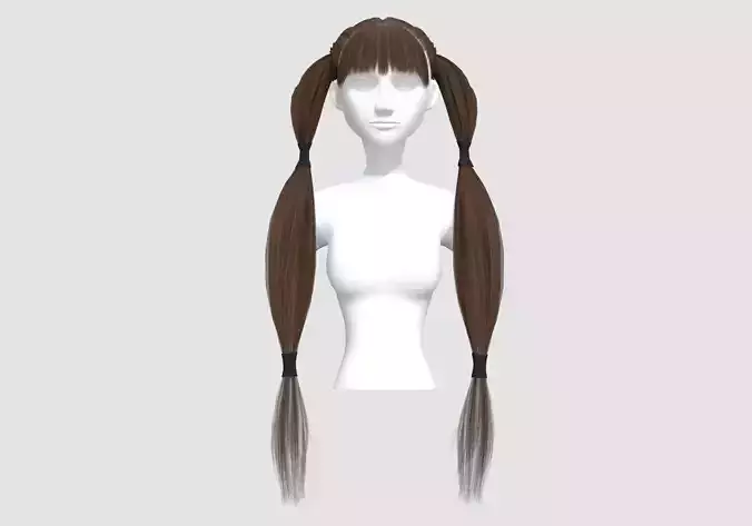 Ponytail Two Hairstyle 