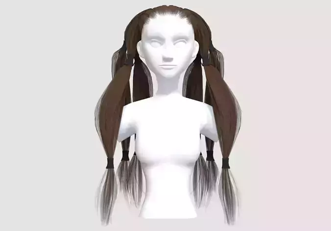 Pigtails Up Hairstyle 