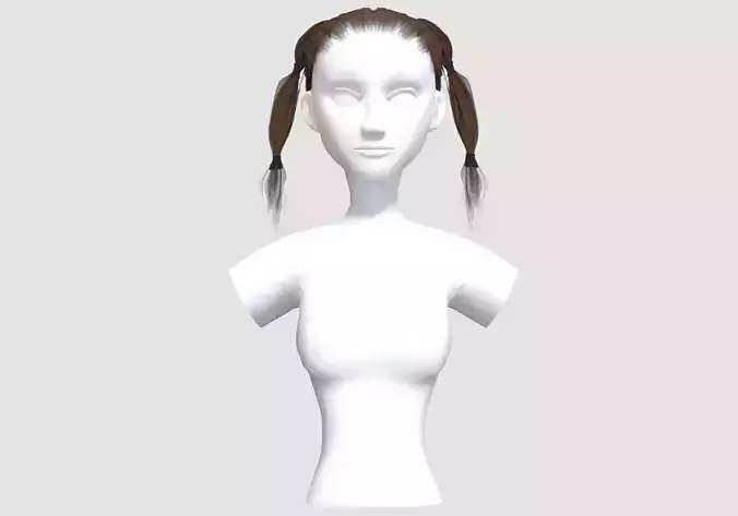 Pigtails Two Hairstyle 
