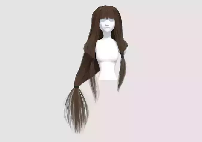 Pigtail Side Hairstyle 