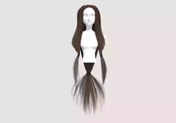 Pigtail Long Hairstyle 
