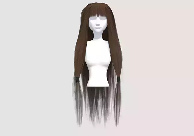 Long Pigtail Hairstyle 