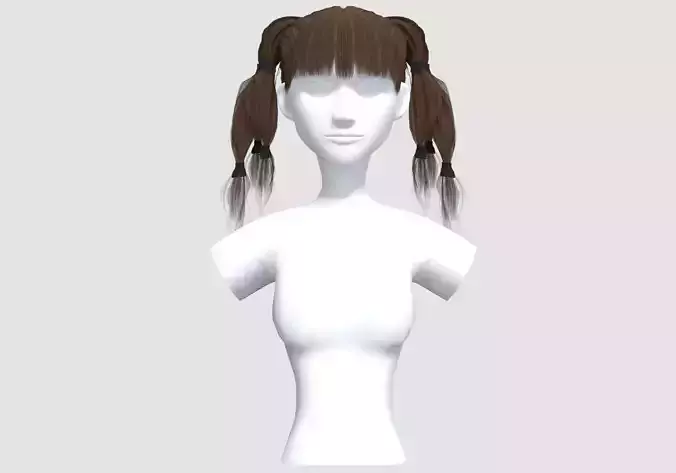 Basic Pigtails Hairstyle 
