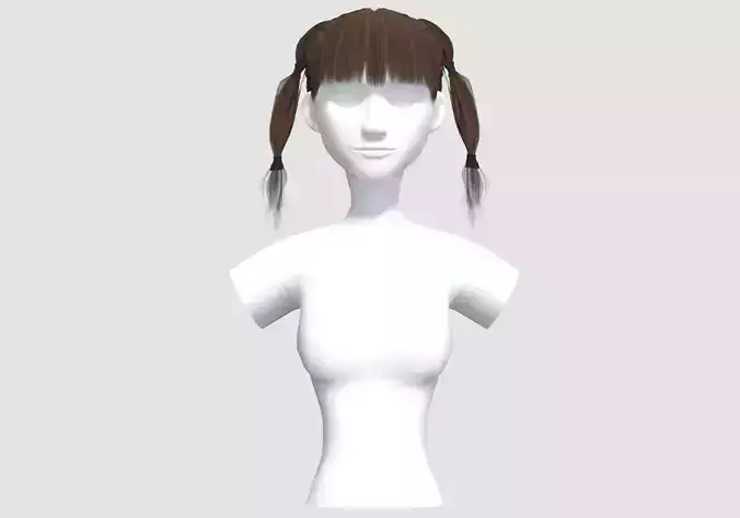 Bangs Ponytails Hairstyle 