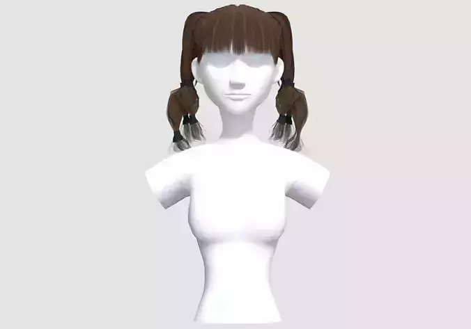 Bangs Pigtail Hairstyle 