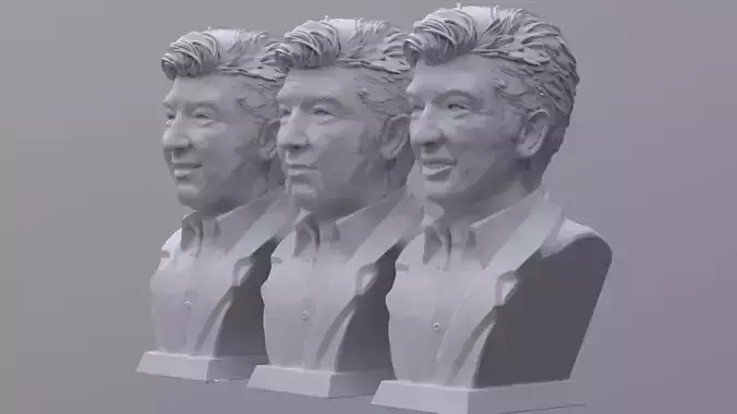 Ricardo Darin Printable 3D print model