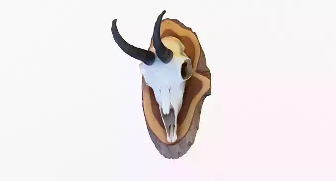 Deer Skull Trophy 2
