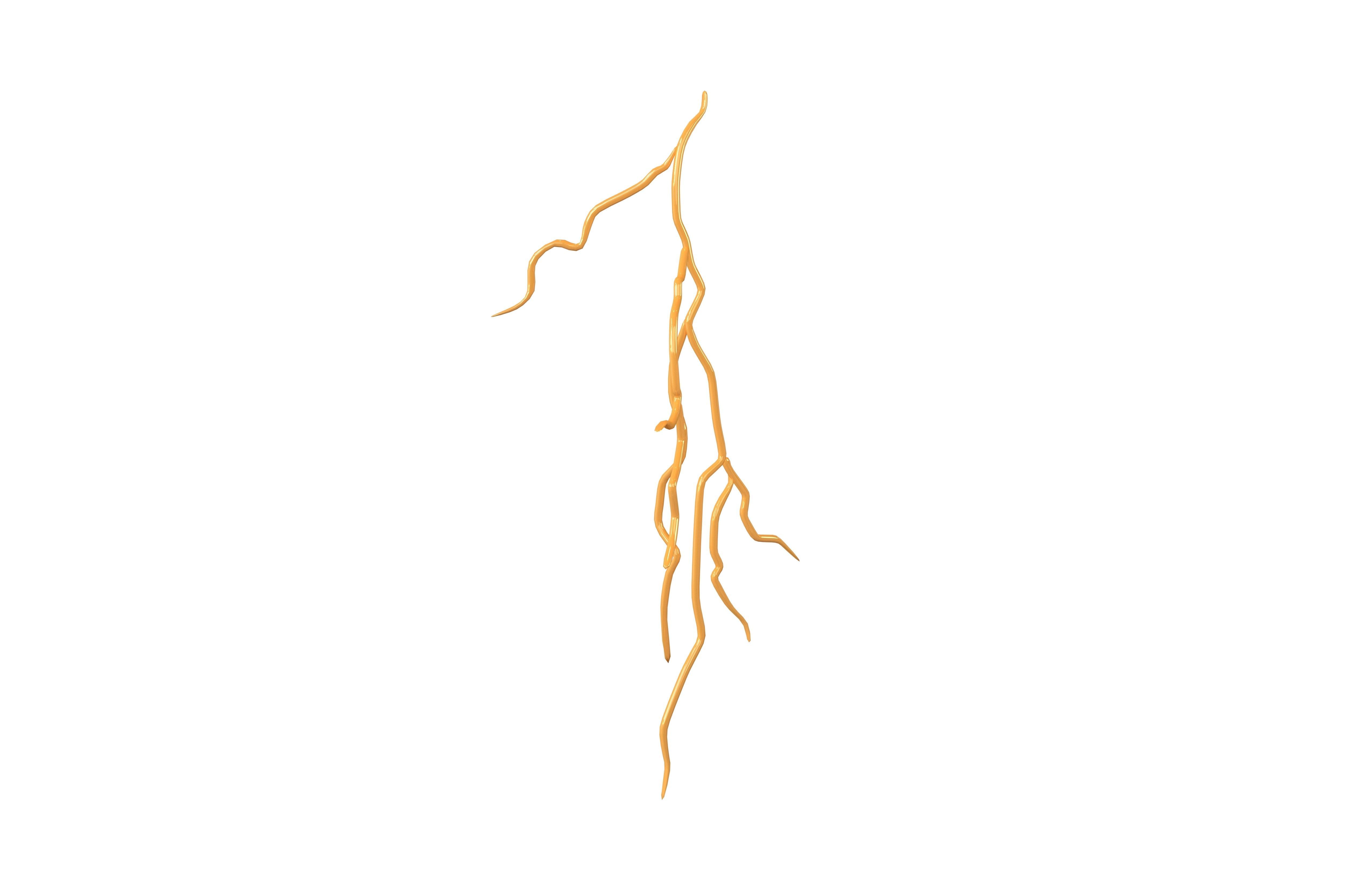 Thunder v1 001 Low-poly 3D model_1