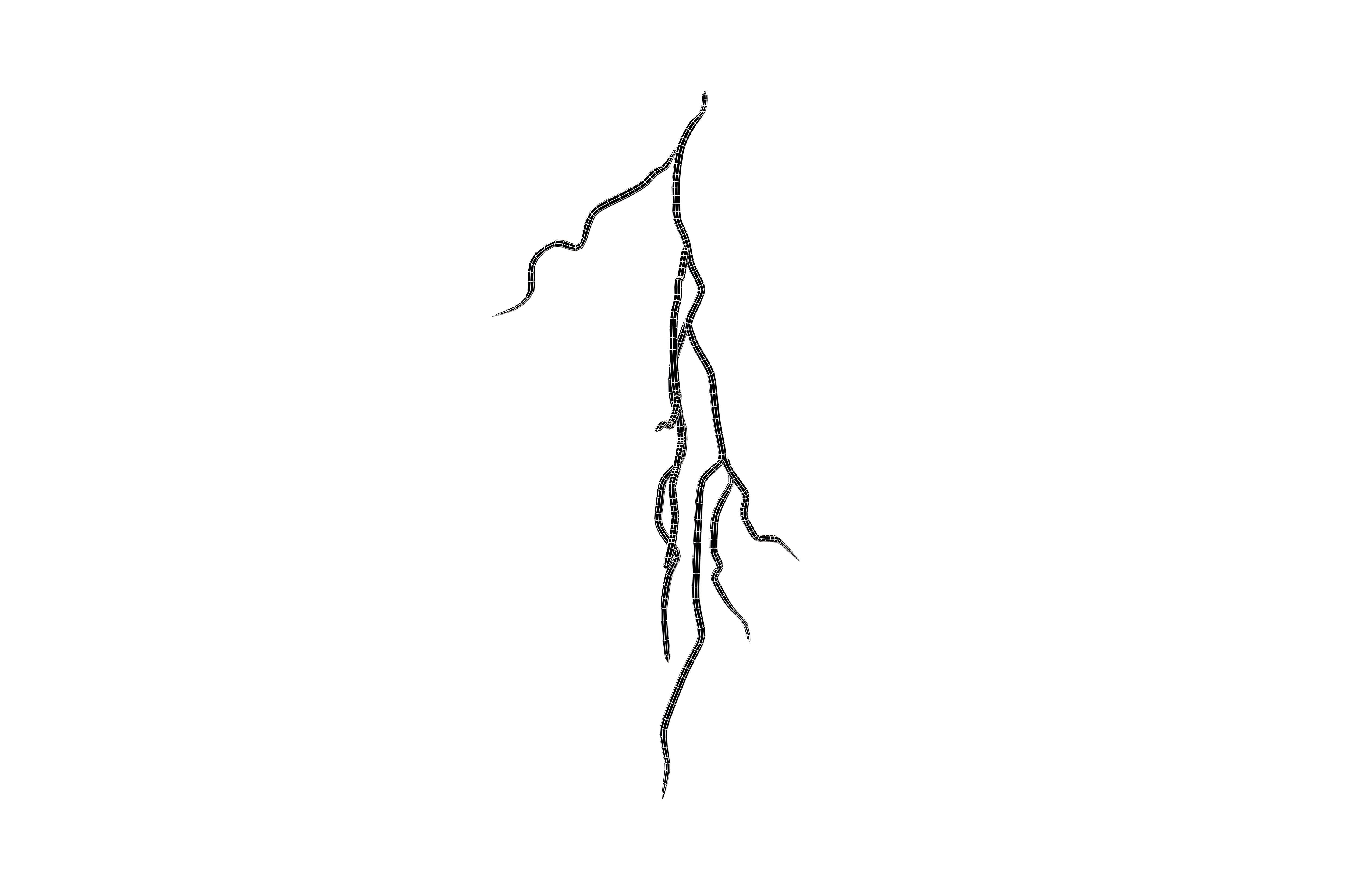 Thunder v1 001 Low-poly 3D model_5