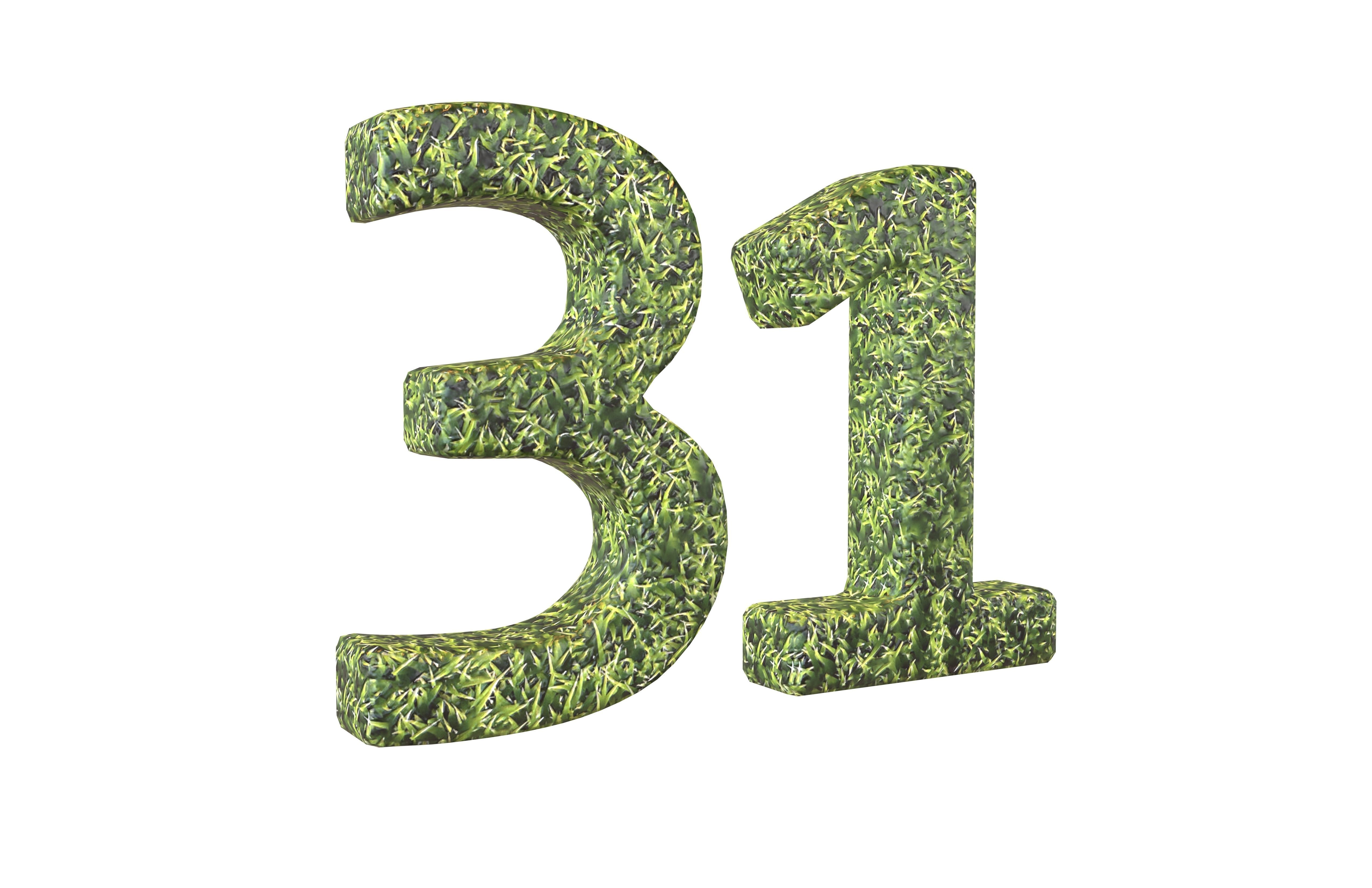 Grass Date Number Pack Vol 1 Low-poly 3D model_130